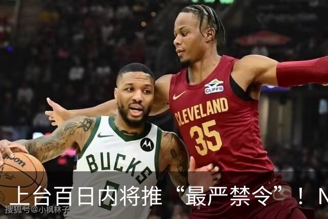 上台百日内将推“最严禁令”!NZ工党宣布大选新政!国家党曾支持,他们强烈反对!